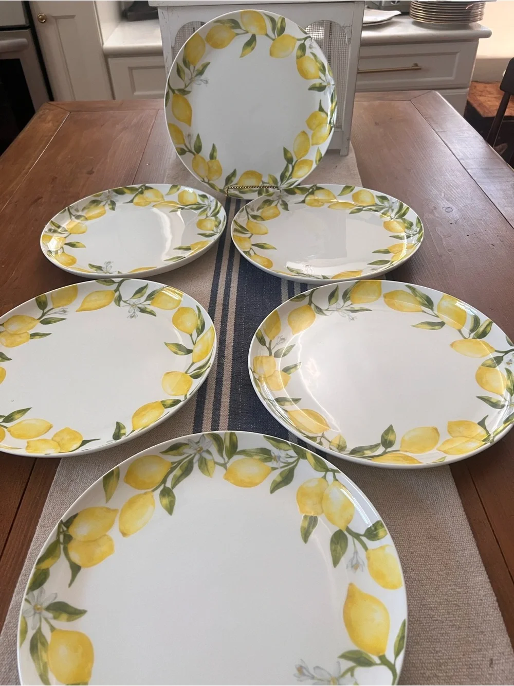 Set Of 6 Mikasa Lemon Dinner Plates 11